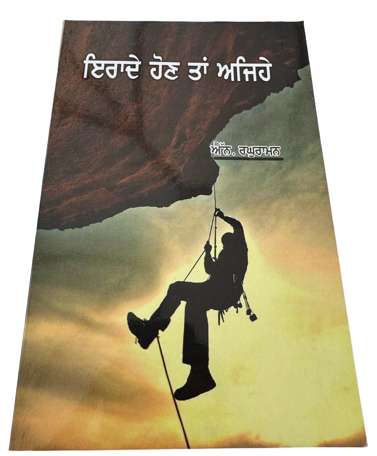 Irrade Hon Tan Ajehey N Raghuraman Strong Will Power Punjabi Book Motivation New