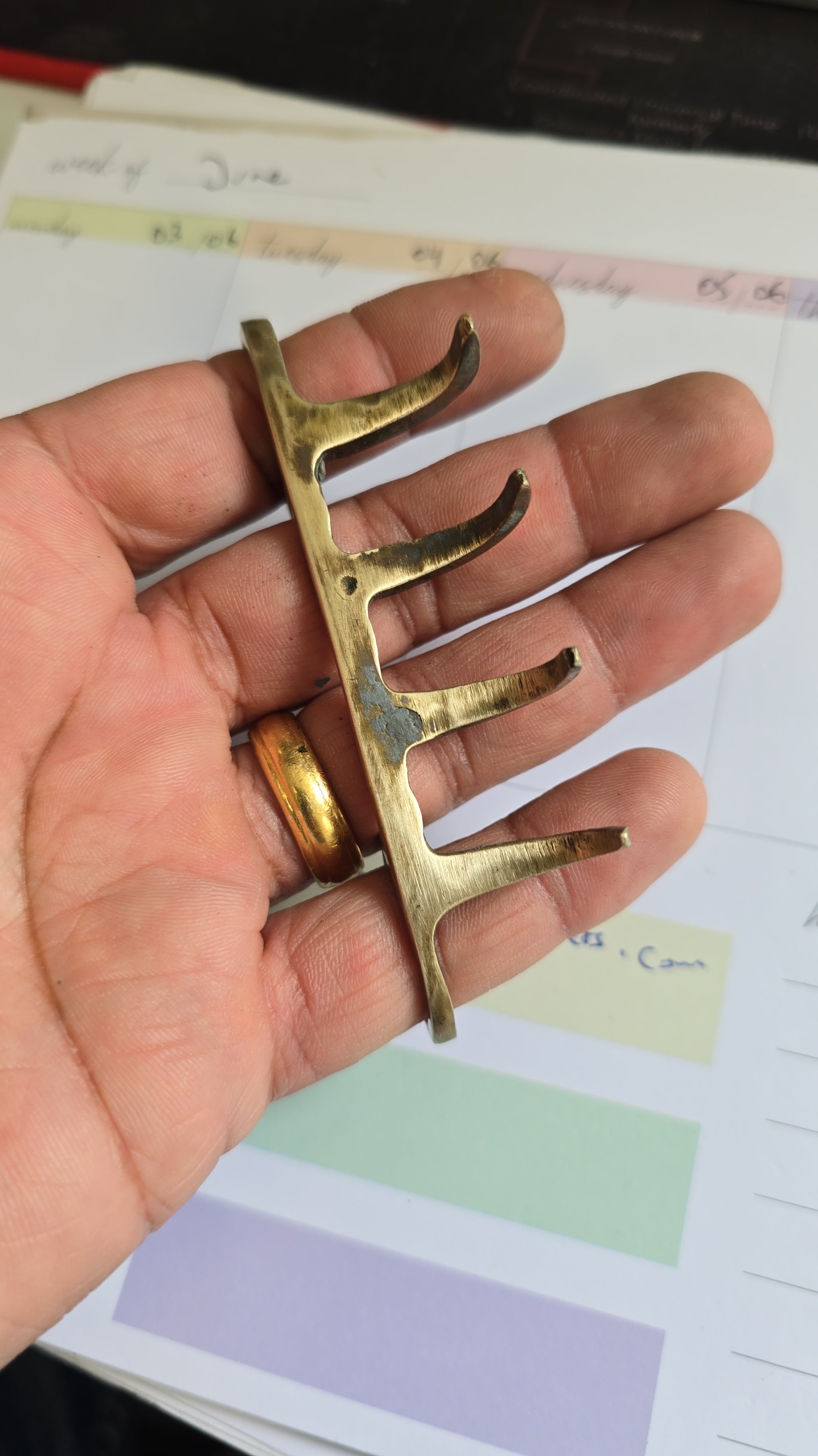 Sikh Brass Bagh Nakhun Bagh Nakh Sher Panja Tiger Claw Khalsa Shastar Ceremonisal