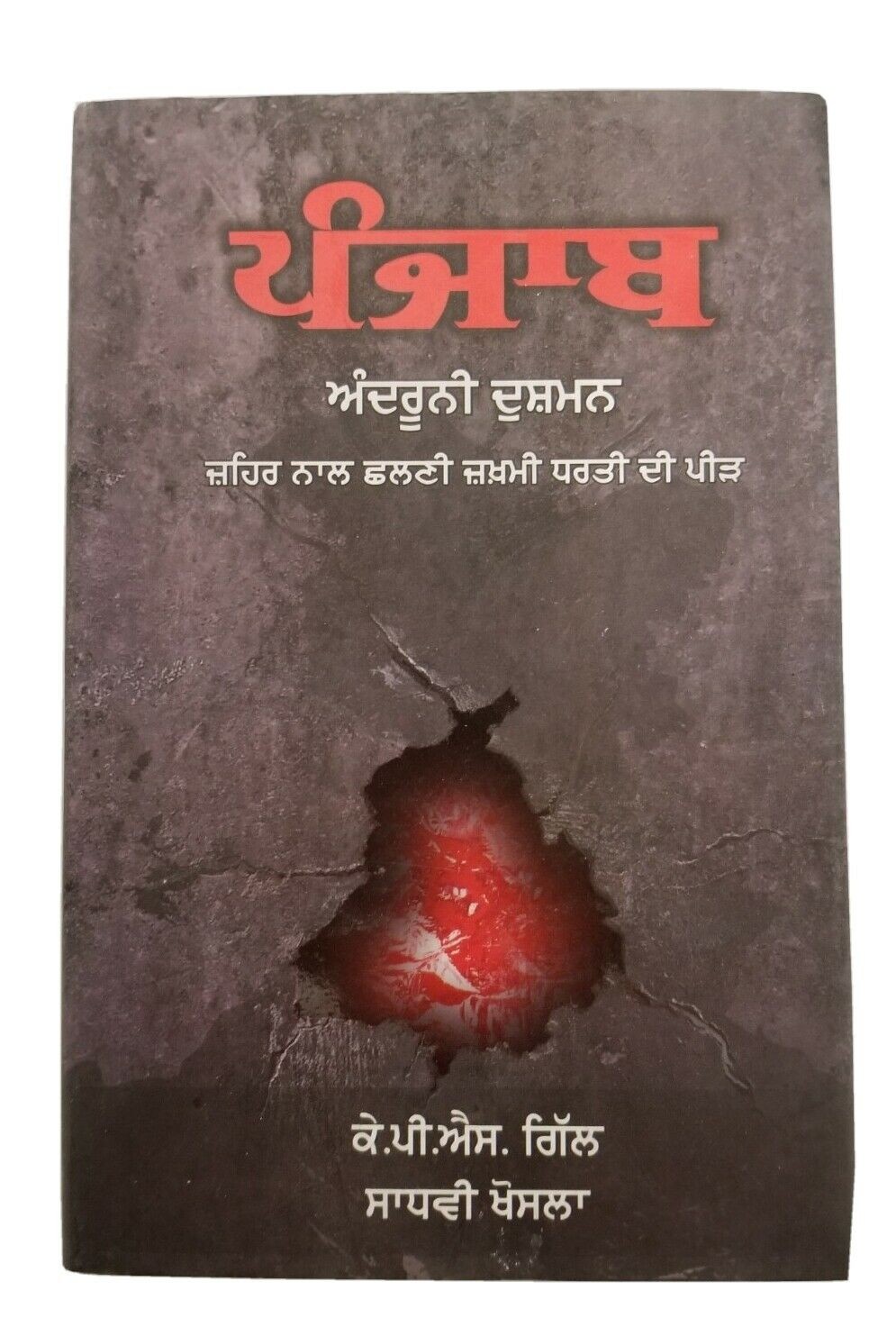Punjab The Enemies Within ਅੰਦਰੂਨੀ ਦੁਸ਼ਮਨ  K.P.S. Gill Sadhavi Khosla Punjabi Book