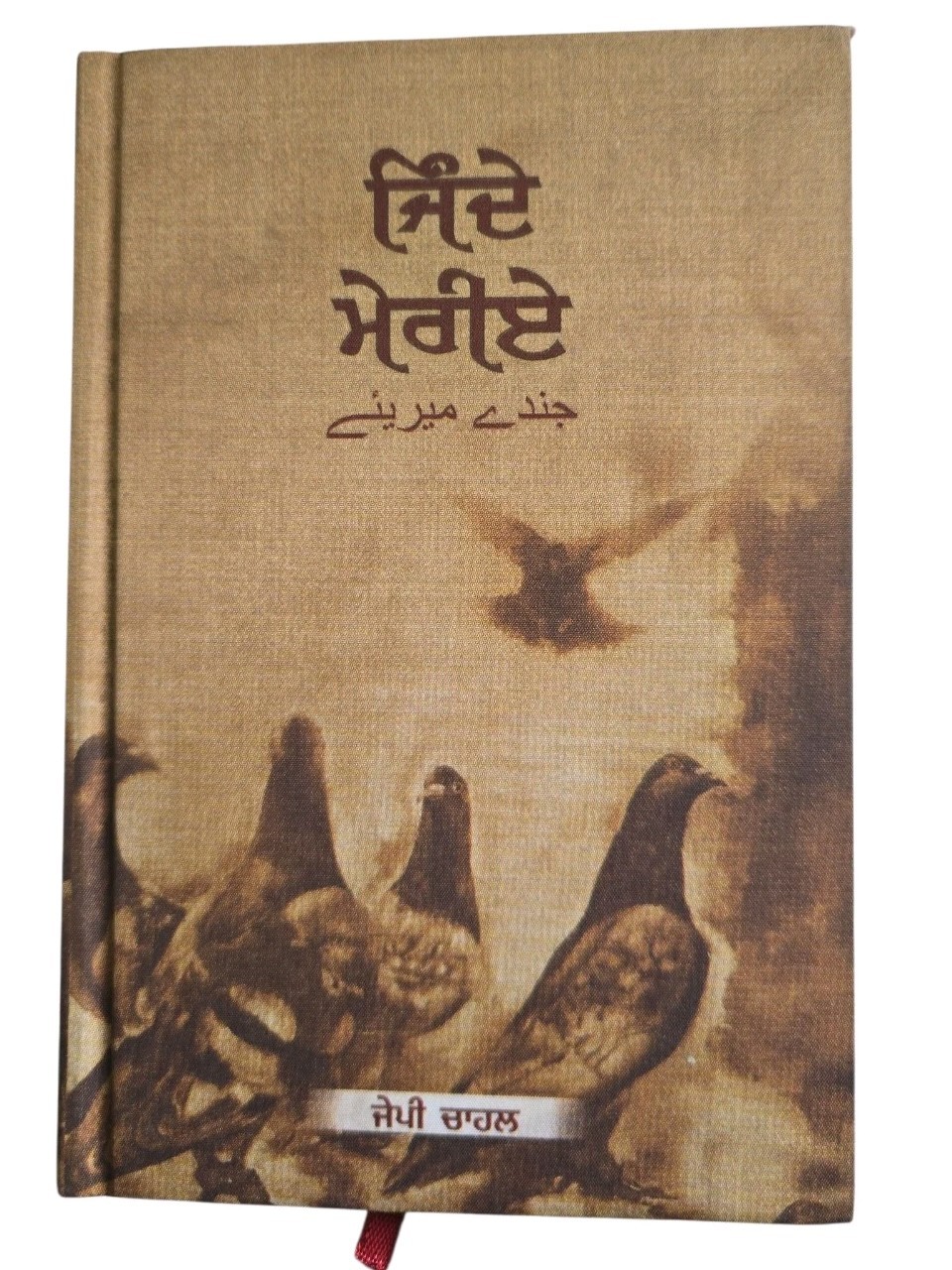Jinday Meriay Punjabi Gurmukhi Poetry Book J.P. Chahal Poet Panjabi Poems New MD