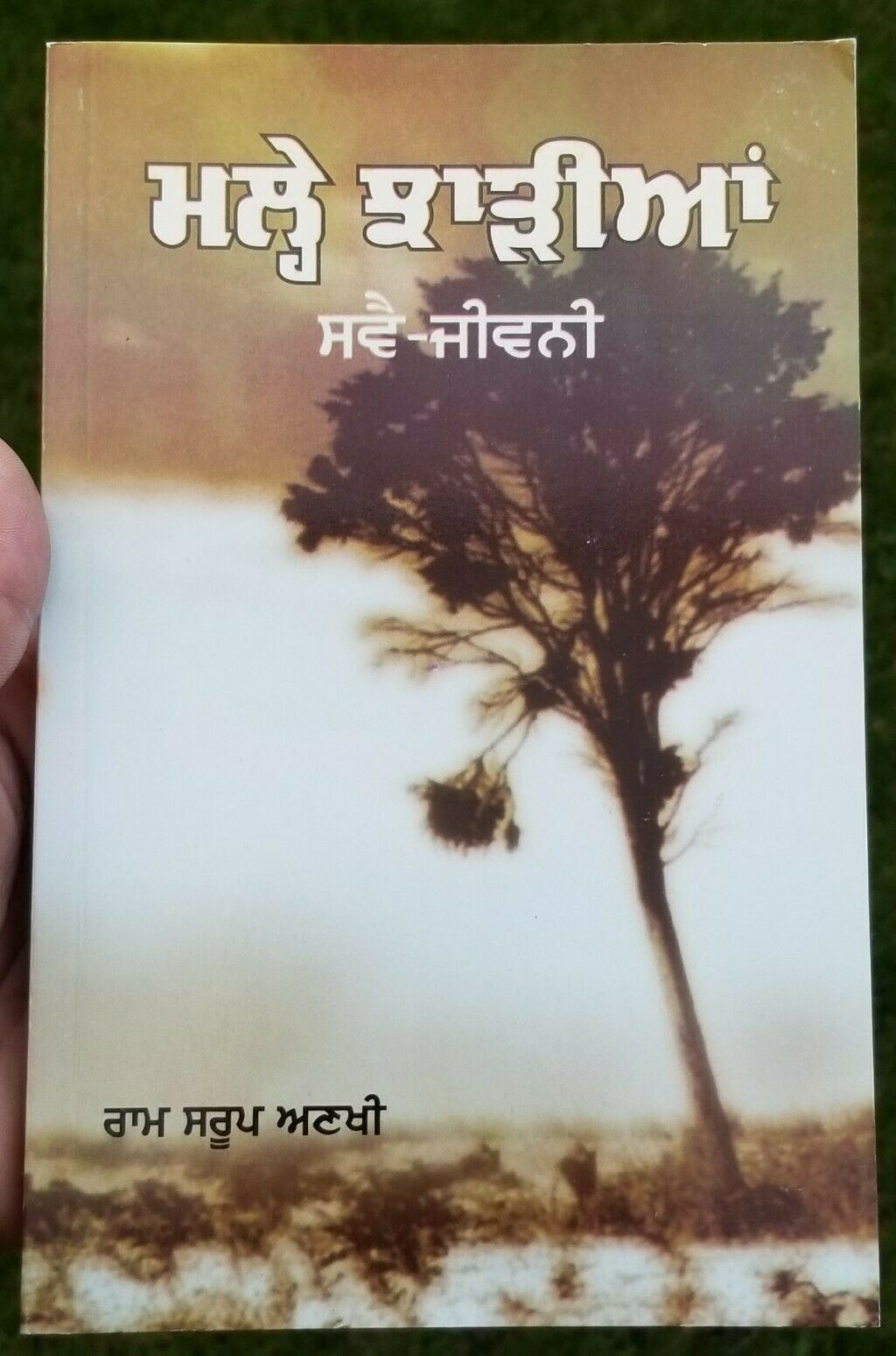Malhe Jharian Auto Biography Ram Saroop Ankhi Literature Punjabi Reading Book B7